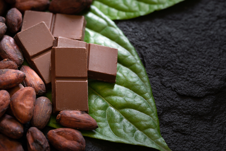 Chocolate bar and cocoa beans on a dark background.の写真素材