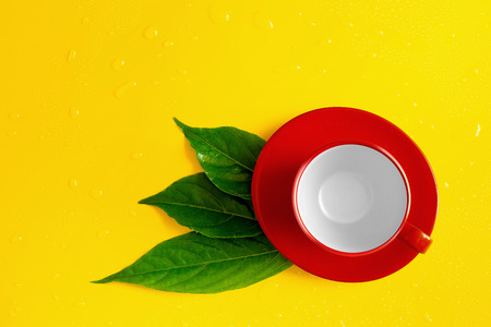 Water drops on leaves and red cup of coffee on yellow background.の写真素材