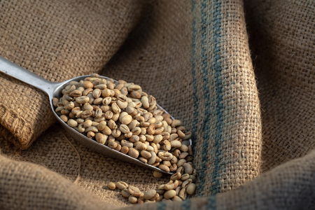 Green coffee bean raw in sack with scoop.の写真素材