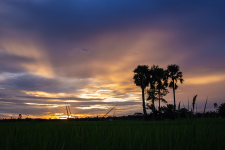 Colorful dramatic sky with cloud at sunset.Sky with sun background.の写真素材