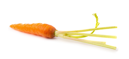 Fresh baby carrots isolated on a white background.の写真素材