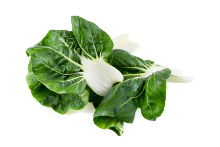 Lettuce leaves isolated on a white background.の写真素材