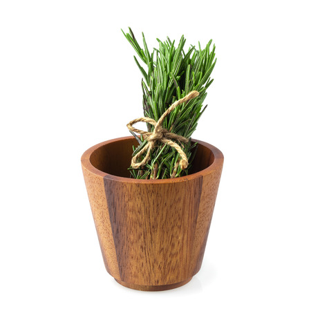 Fresh raw Rosemary isolated on a white background.の写真素材
