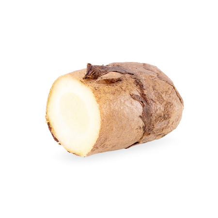 Whiteturmeric herb isolated on a white background.の写真素材