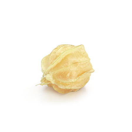Cape Gooseberry, Physalis fruit or golden berry isolated on white backgroundの写真素材