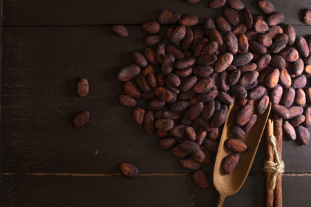 Top view of Cocoa beans in vintage table on dark background.の写真素材
