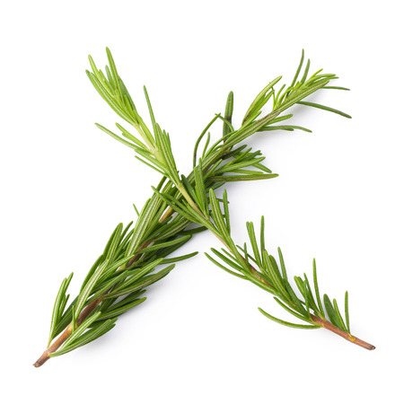 Fresh Rosemary isolated over a white backgroundの写真素材