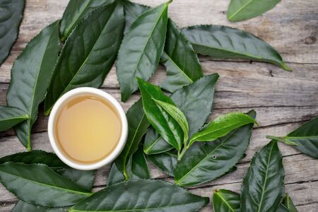 Glass of tea on a wooden table and fresh green tea leaves.の写真素材
