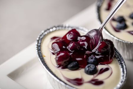 Blueberry pie fresh creamy cottage cheese dessert.の写真素材