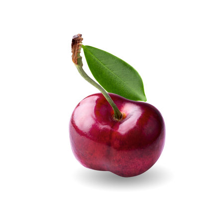 Cherry isolated on white background. Sweet cherries With clipping path.の写真素材