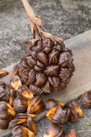 nypa palm fruit in Thailand, close up of nypa seed in nature.