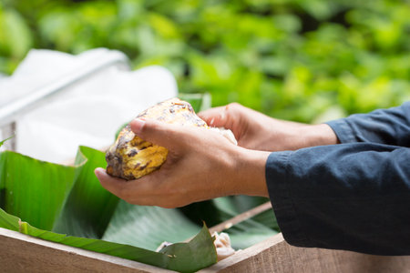 Fresh cocoa beans in the hand of a farmer.の写真素材