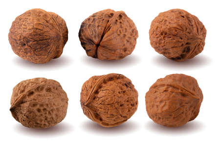 Dry Walnut isolated on white background.