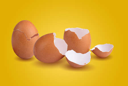 Empty broken chicken eggshell on yellow background