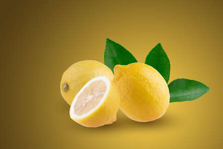 yellow lemon isolated on a yellow background.の写真素材