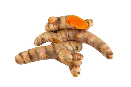 Turmeric Herb Contains Bioactive Compounds isolated over white background.の写真素材
