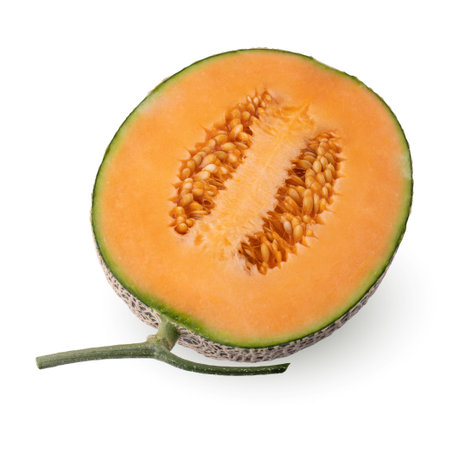 cantaloupe melon isolated on a white backgroundの写真素材