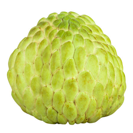 Sugar apple or custard apple, whole ripe exotic tropical fruit isolated on a white backgroundの写真素材