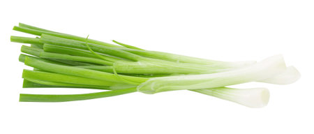 Green onion isolated on a white background.の写真素材