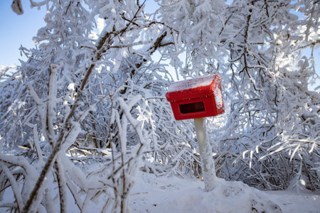 The trees and red postal box are covered with a snow layer and the sky is blue. Fairy tale...