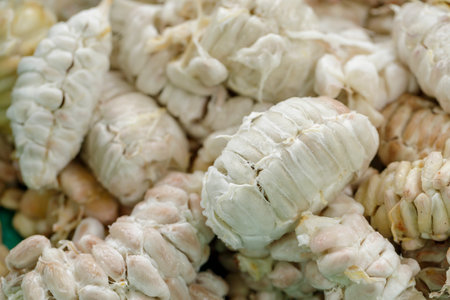 Fresh cocoa beans that have been removed from the pods before being fermented.
