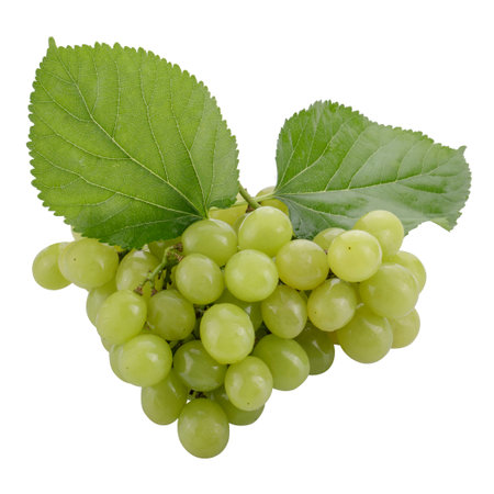 Green grapes and grape leaves isolated on a white backgroundの写真素材