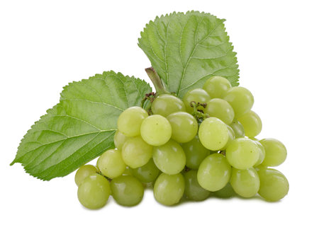 Green grapes and grape leaves isolated on a white backgroundの写真素材
