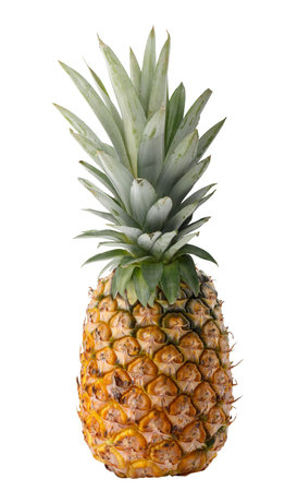 pineapple isolated on a white backgroundの写真素材