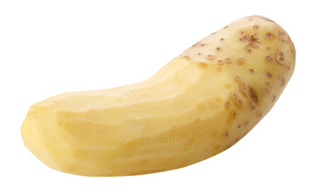 Raw peeled potatoes isolated on a white backgroundの写真素材