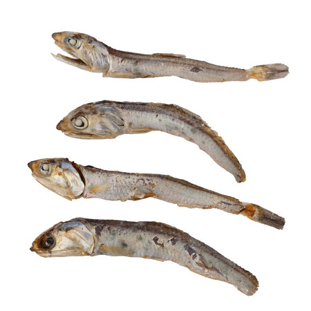 Nutritious Dried Fish Used as a Tasty and Healthy Food Option for Cats isolated on a white backgroundの写真素材