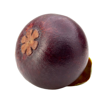 Dark Purple Mangosteen with Thick Rind and Juicy White Flesh isolated on a white backgroundの写真素材