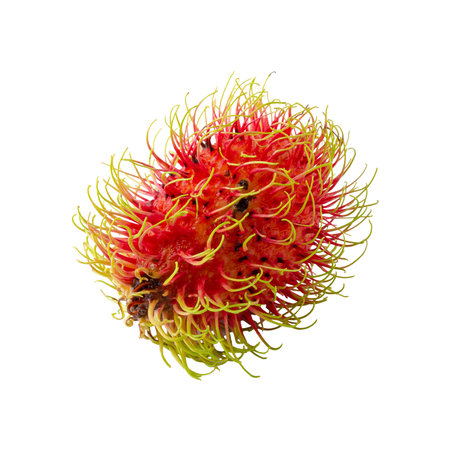 Red Rambutan with Hairy Skin isolated on a white backgroundの写真素材