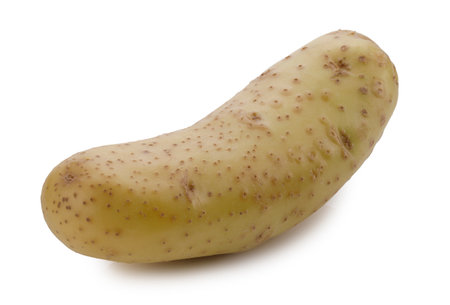Whole potatoes isolated on a white backgroundの写真素材