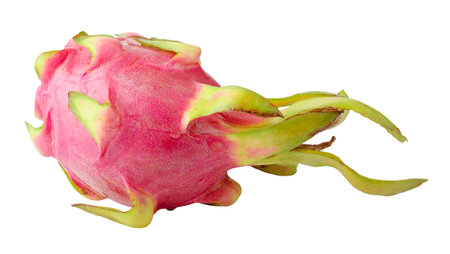 Fresh red dragon fruit whole isolated on a white backgroundの写真素材