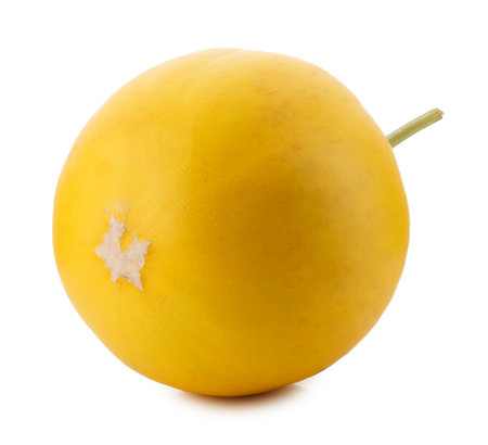 Golden Melon isolated on a white backgroundの写真素材