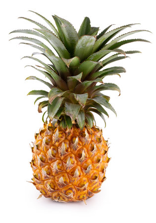 Whole Pineapple Fruits with Spiky Green Crowns and Golden Skin isolated on a white backgroundの写真素材
