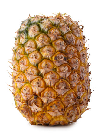 pineapple isolated on a white backgroundの写真素材