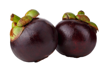 Whole mangosteen with purple rind isolated on a white backgroundの写真素材