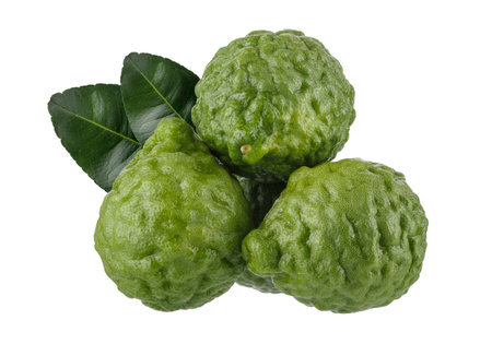 Fresh Green Kaffir Lime Fruits isolated on a white backgroundの写真素材