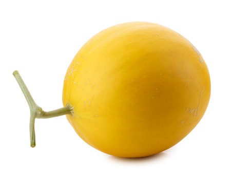Golden Melon isolated on a white backgroundの写真素材