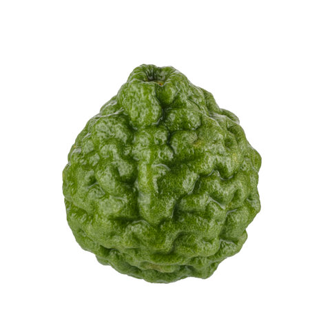 Fresh Green Kaffir Lime Fruits isolated on a white background