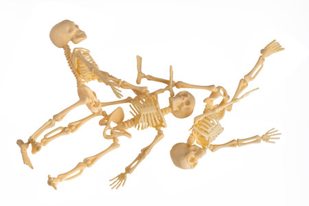 Plastic Halloween Skeleton  for Halloween decoration isolated on backgroundの写真素材