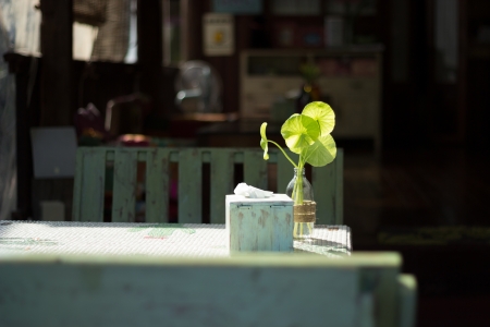 the table dining in  peacefulの写真素材