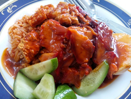 Khao Moo Daeng (rice with roasted red pork).の素材