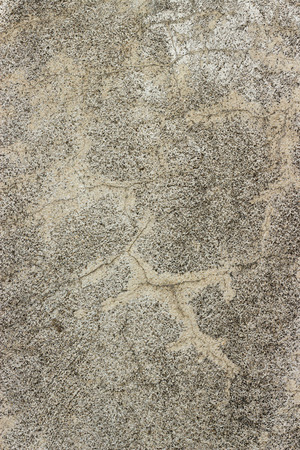 Concrete Texture Backgroundの写真素材