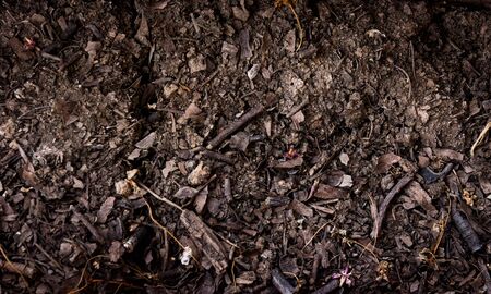 Soil dark ground surface top view texture and background.の写真素材