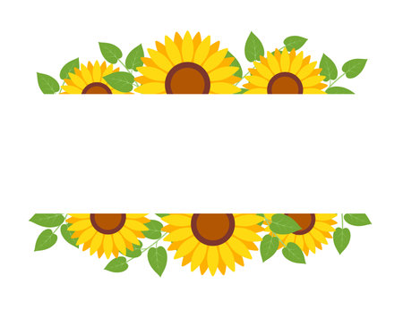 Sunflower border frame background. Sunflower template invitation greeting card.のイラスト素材