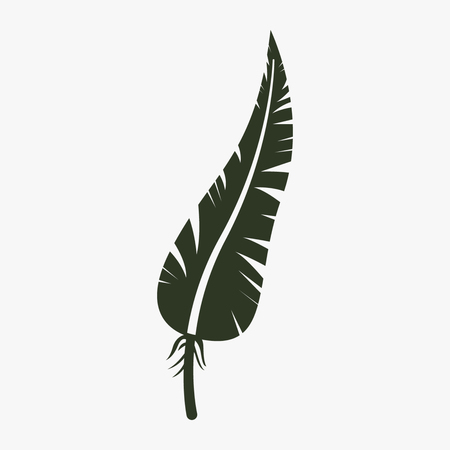 Feather vector icon.のイラスト素材