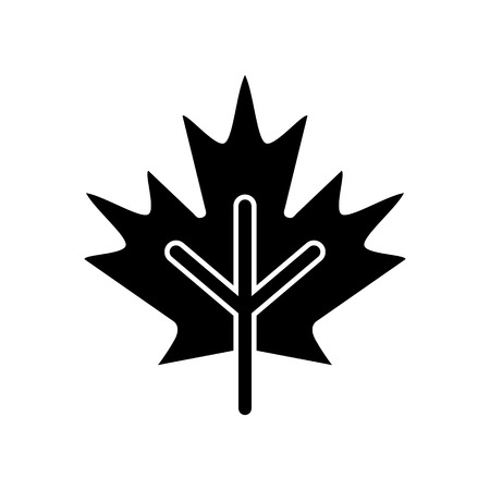 Maple Leaf vector icon.のイラスト素材