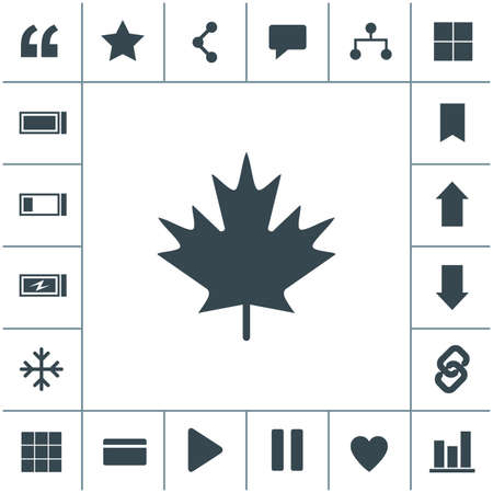 Maple Leaf vector icon.のイラスト素材